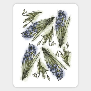 Violet Spring Flowers set, Art Nouveau flower pattern, nature, Iris and Primrose, Pastel, Watercolor style Magnet